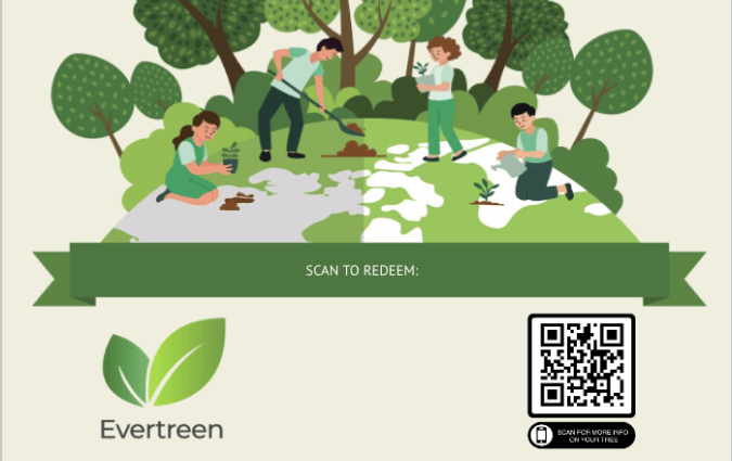Evertreen Gutschein